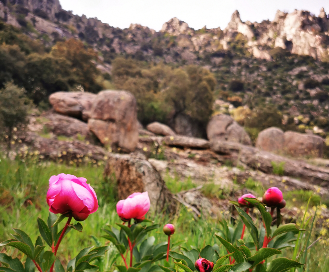 Huerto-San-Antonio-en-un-entorno-natural-inigualable